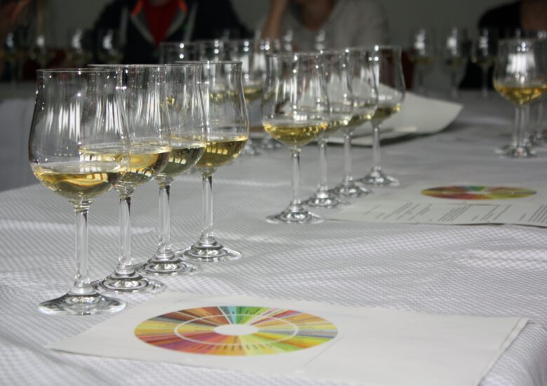 „Anerkannte/r Berater/in für Deutschen Wein“ – Auszubildende des Hotel- und Gastgewerbes erwerben begehrten Titel des Deutschen Weininstituts